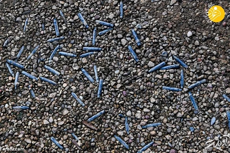 شیوع کرونا و تب داغ خرید اسلحه در آمریکا + تصاویر